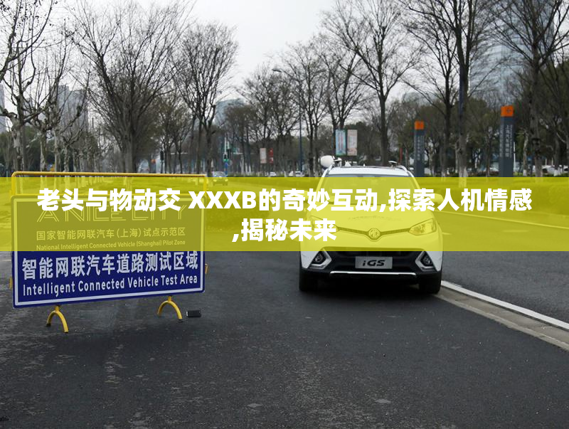 老头与物动交 XXXB的奇妙互动,探索人机情感,揭秘未来