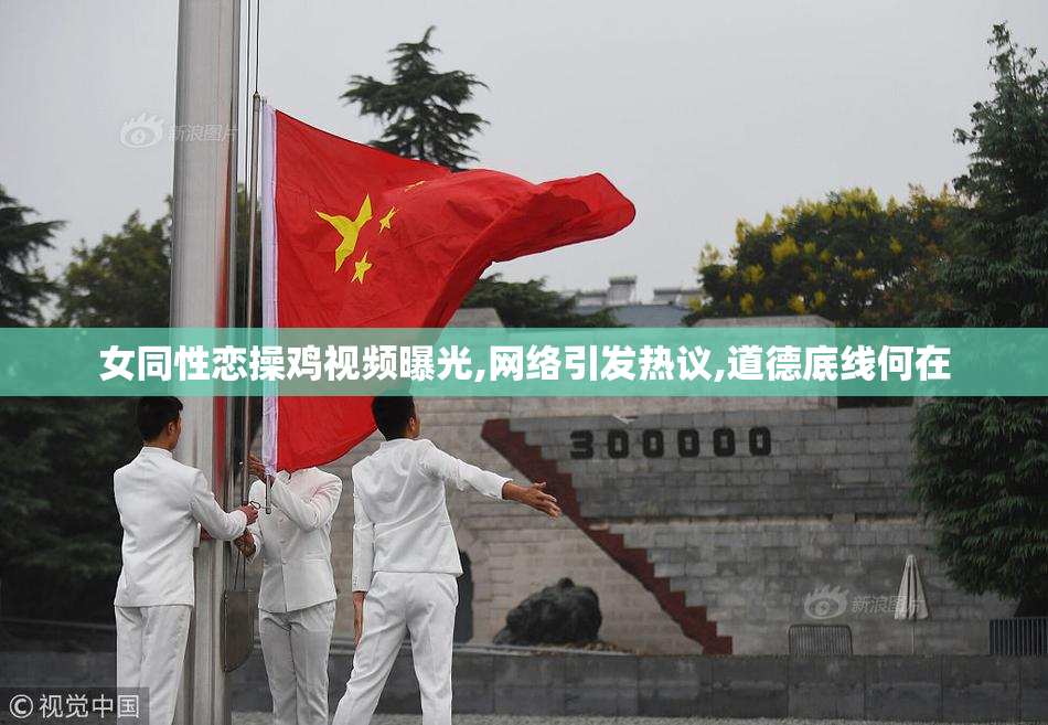 女同性恋操鸡视频曝光,网络引发热议,道德底线何在