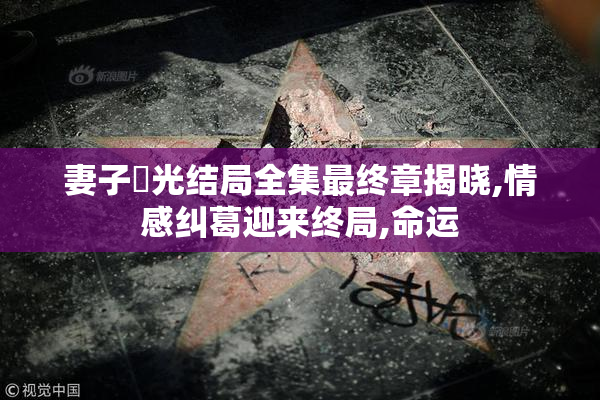 妻子凪光结局全集最终章揭晓,情感纠葛迎来终局,命运