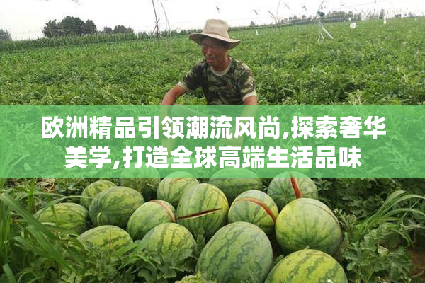 欧洲精品引领潮流风尚,探索奢华美学,打造全球高端生活品味