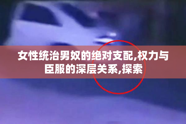 女性统治男奴的绝对支配,权力与臣服的深层关系,探索