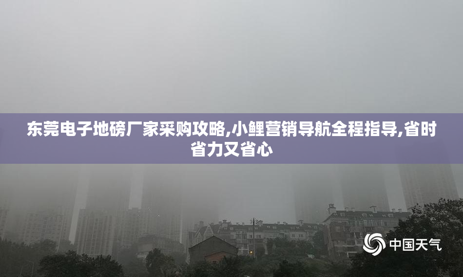 东莞电子地磅厂家采购攻略,小鲤营销导航全程指导,省时省力又省心
