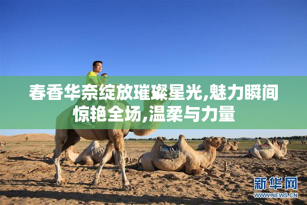 春香华奈绽放璀璨星光,魅力瞬间惊艳全场,温柔与力量
