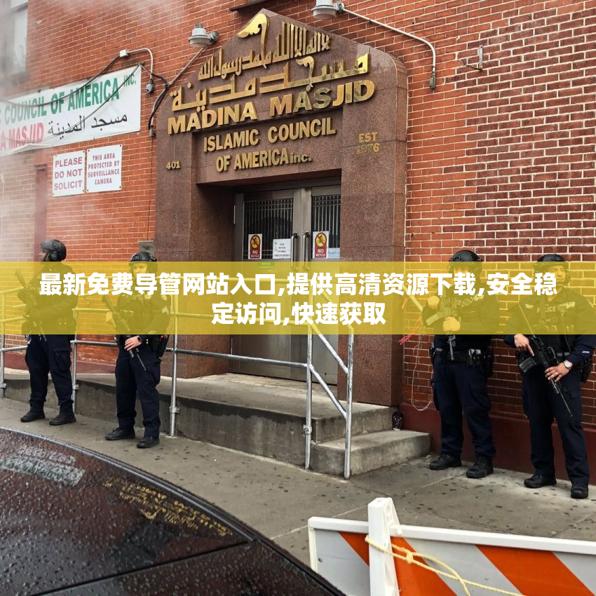 最新免费导管网站入口,提供高清资源下载,安全稳定访问,快速获取