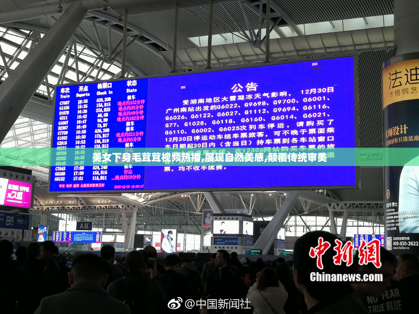 美女下身毛茸茸视频热播,展现自然美感,颠覆传统审美