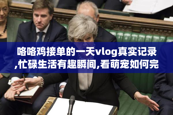 咯咯鸡接单的一天vlog真实记录,忙碌生活有趣瞬间,看萌宠如何完成