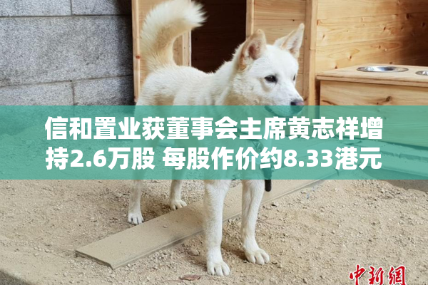 信和置业获董事会主席黄志祥增持2.6万股 每股作价约8.33港元