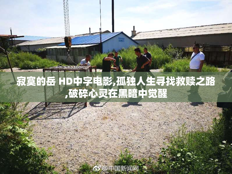 寂寞的岳 HD中字电影,孤独人生寻找救赎之路,破碎心灵在黑暗中觉醒