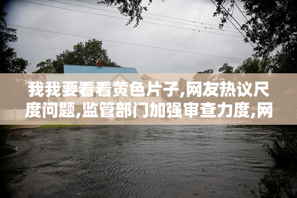 我我要看看黄色片子,网友热议尺度问题,监管部门加强审查力度,网络