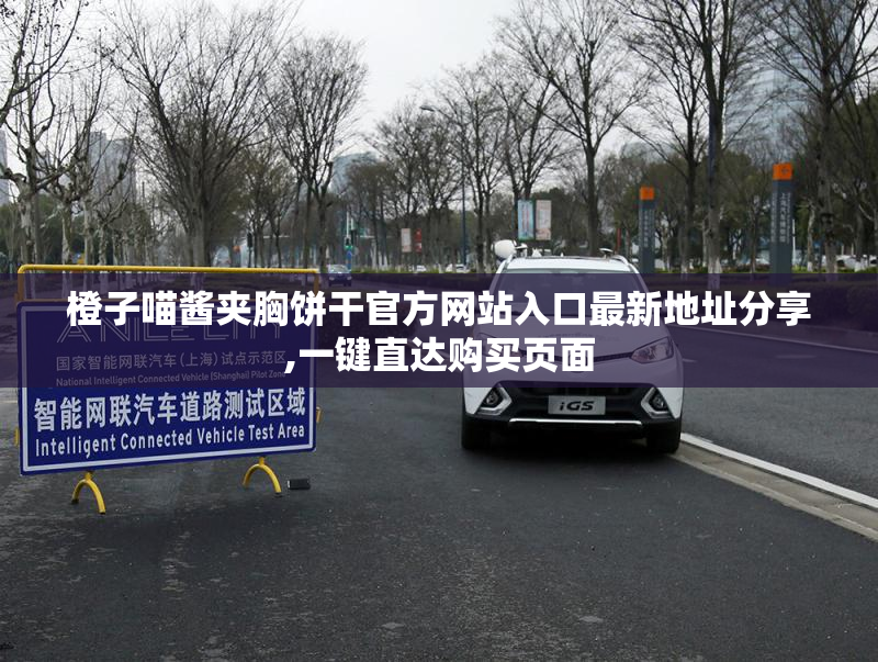 橙子喵酱夹胸饼干官方网站入口最新地址分享,一键直达购买页面