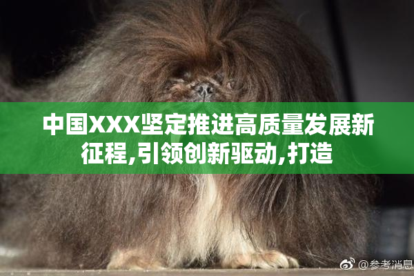 中国XXX坚定推进高质量发展新征程,引领创新驱动,打造