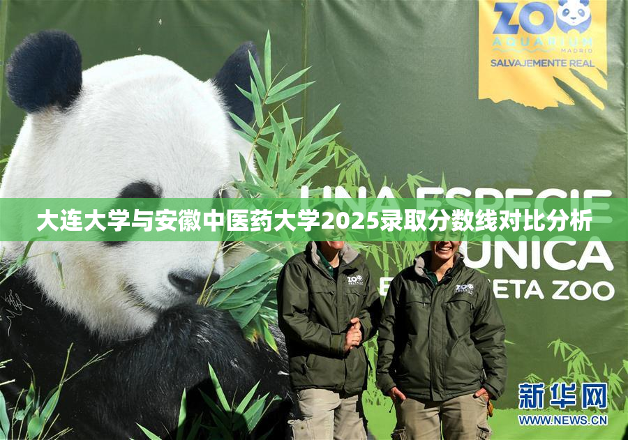 大连大学与安徽中医药大学2025录取分数线对比分析