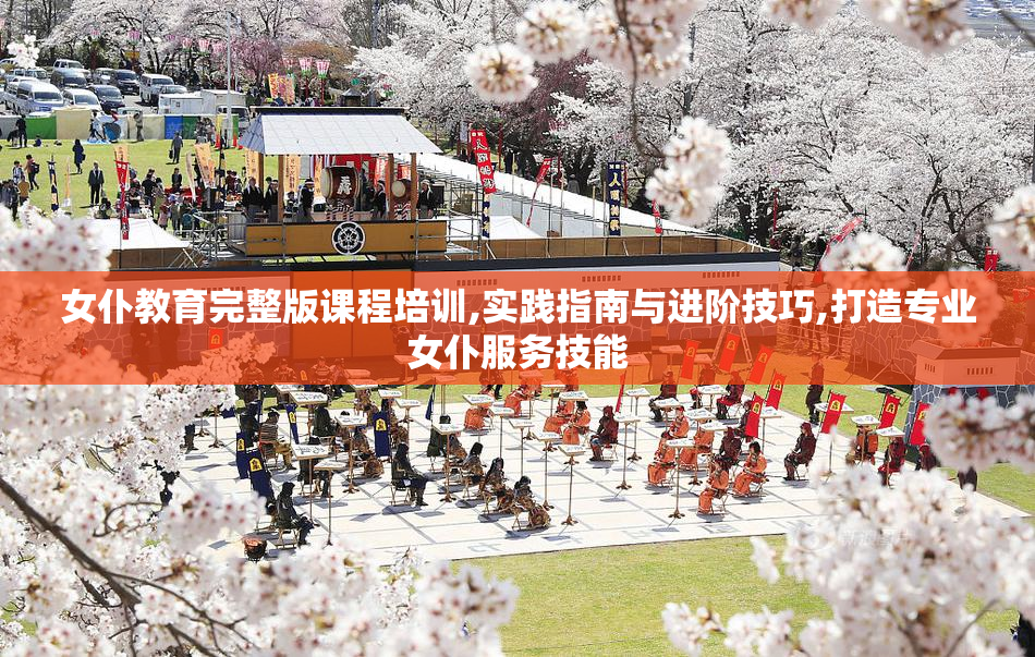 女仆教育完整版课程培训,实践指南与进阶技巧,打造专业女仆服务技能