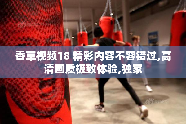 香草视频18 精彩内容不容错过,高清画质极致体验,独家