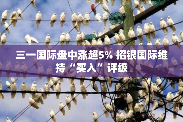 三一国际盘中涨超5% 招银国际维持“买入”评级