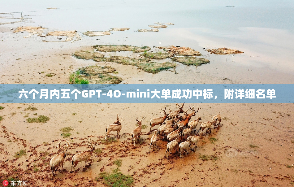 六个月内五个GPT-4O-mini大单成功中标，附详细名单