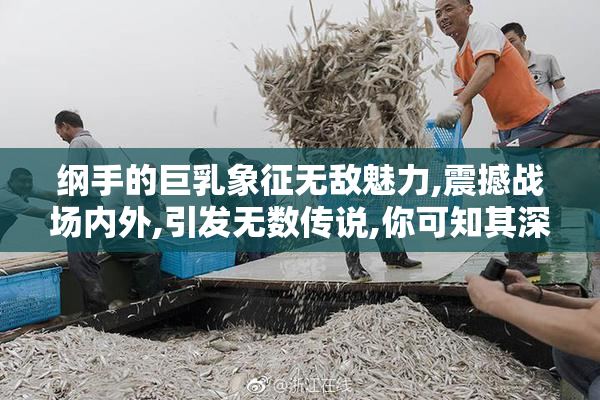 纲手的巨乳象征无敌魅力,震撼战场内外,引发无数传说,你可知其深意