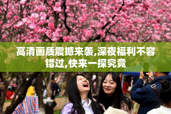 高清画质震撼来袭,深夜福利不容错过,快来一探究竟