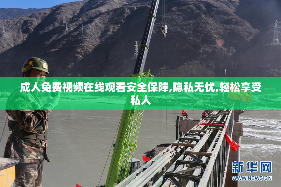 成人免费视频在线观看安全保障,隐私无忧,轻松享受私人
