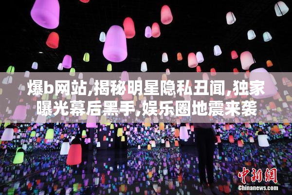 爆b网站,揭秘明星隐私丑闻,独家曝光幕后黑手,娱乐圈地震来袭