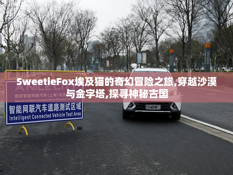 SweetieFox埃及猫的奇幻冒险之旅,穿越沙漠与金字塔,探寻神秘古国