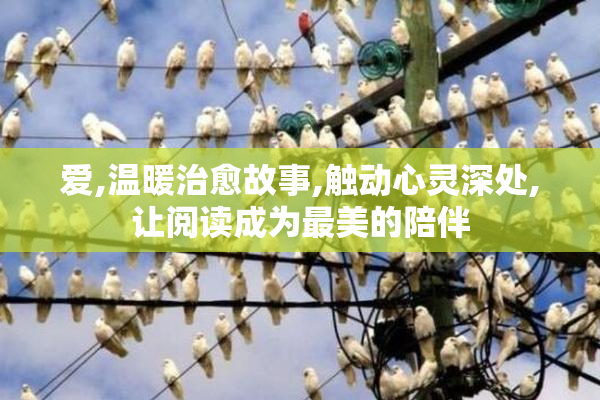 爱,温暖治愈故事,触动心灵深处,让阅读成为最美的陪伴