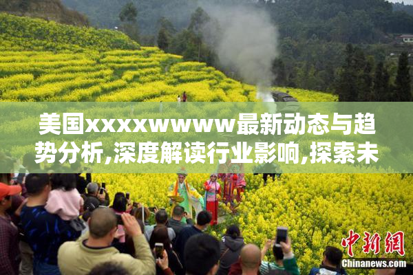美国xxxxwwww最新动态与趋势分析,深度解读行业影响,探索未来发展