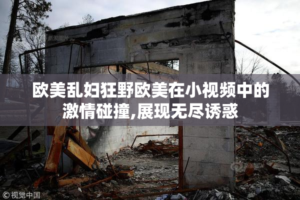 欧美乱妇狂野欧美在小视频中的激情碰撞,展现无尽诱惑