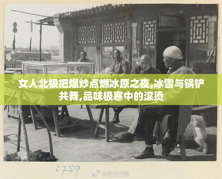 女人北极把爆炒点燃冰原之夜,冰雪与锅铲共舞,品味极寒中的滚烫