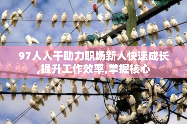 97人人干助力职场新人快速成长,提升工作效率,掌握核心