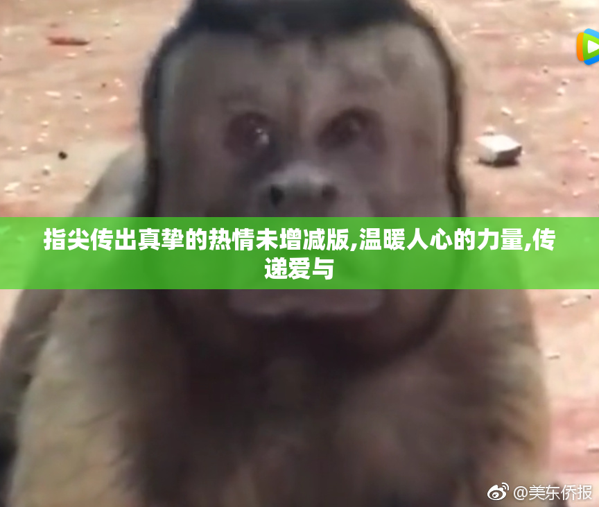 指尖传出真挚的热情未增减版,温暖人心的力量,传递爱与