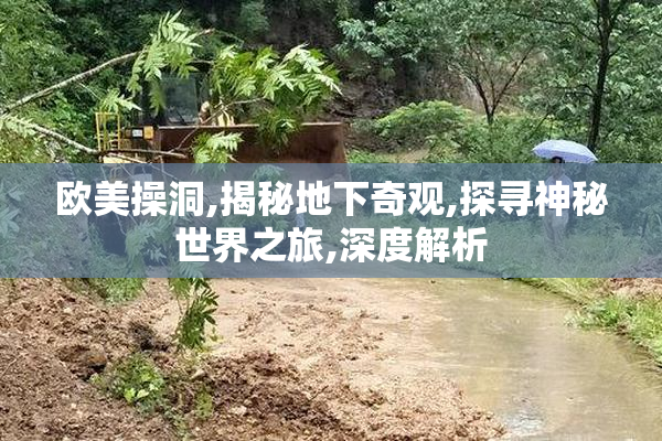 欧美操洞,揭秘地下奇观,探寻神秘世界之旅,深度解析