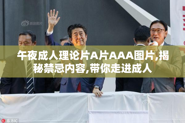 午夜成人理论片A片AAA图片,揭秘禁忌内容,带你走进成人