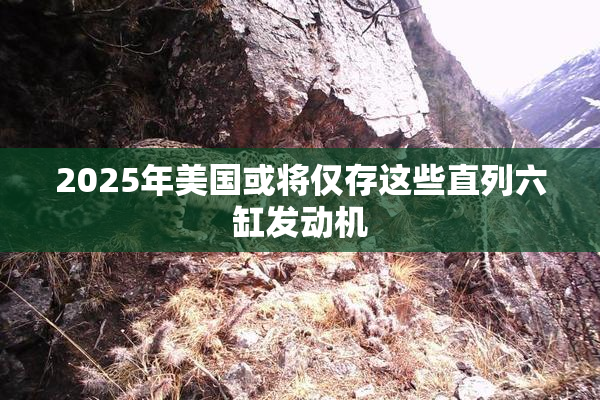 2025年美国或将仅存这些直列六缸发动机