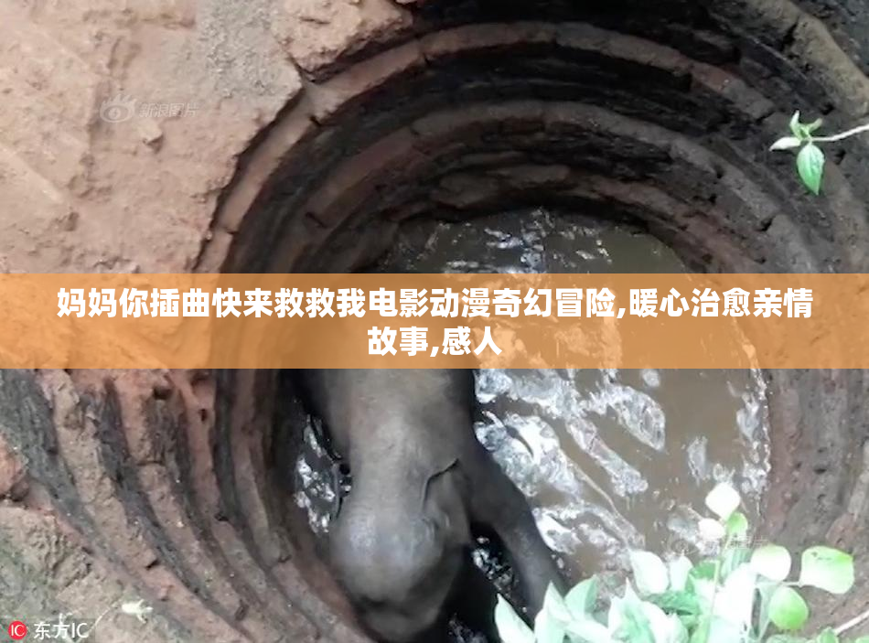 妈妈你插曲快来救救我电影动漫奇幻冒险,暖心治愈亲情故事,感人