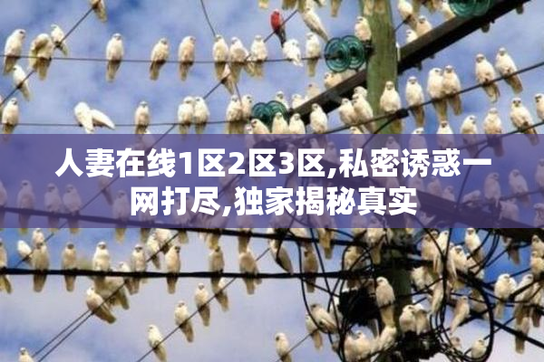 人妻在线1区2区3区,私密诱惑一网打尽,独家揭秘真实