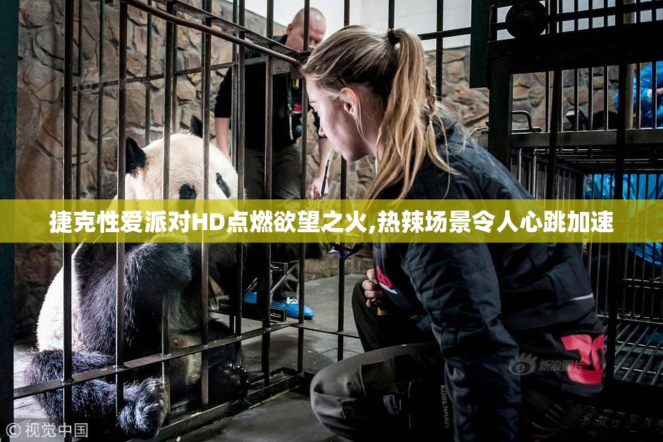 捷克性爱派对HD点燃欲望之火,热辣场景令人心跳加速