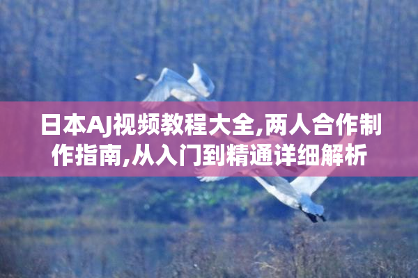 日本AJ视频教程大全,两人合作制作指南,从入门到精通详细解析