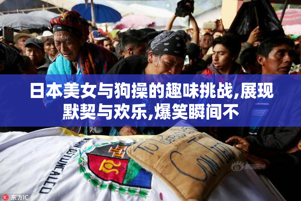 日本美女与狗操的趣味挑战,展现默契与欢乐,爆笑瞬间不
