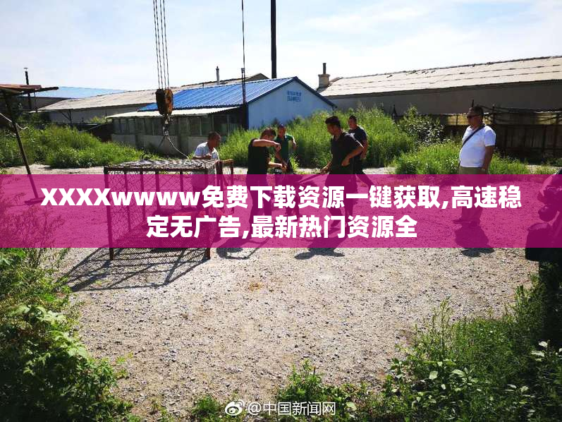 XXXXwwww免费下载资源一键获取,高速稳定无广告,最新热门资源全