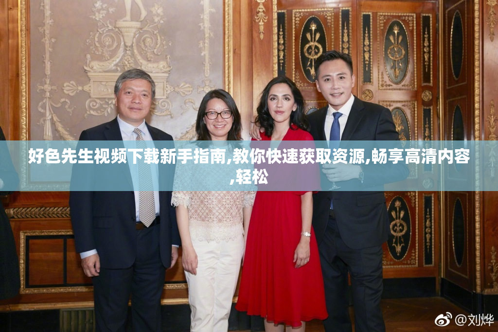 好色先生视频下载新手指南,教你快速获取资源,畅享高清内容,轻松