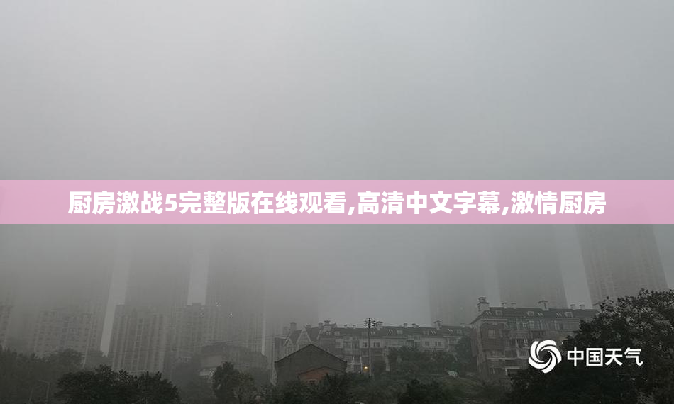 厨房激战5完整版在线观看,高清中文字幕,激情厨房