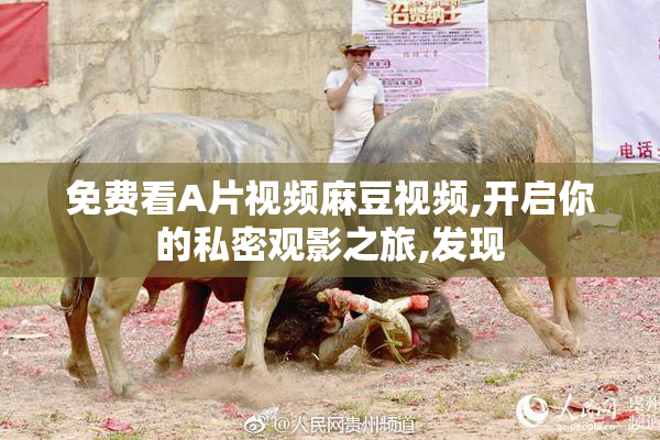 免费看A片视频麻豆视频,开启你的私密观影之旅,发现