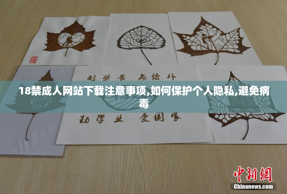 18禁成人网站下载注意事项,如何保护个人隐私,避免病毒
