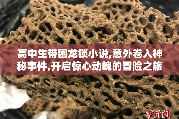 高中生带困龙锁小说,意外卷入神秘事件,开启惊心动魄的冒险之旅