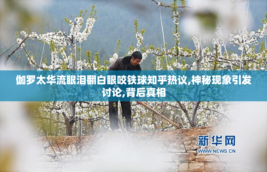 伽罗太华流眼泪翻白眼咬铁球知乎热议,神秘现象引发讨论,背后真相