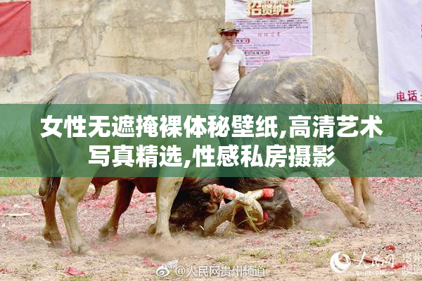 女性无遮掩裸体秘壁纸,高清艺术写真精选,性感私房摄影