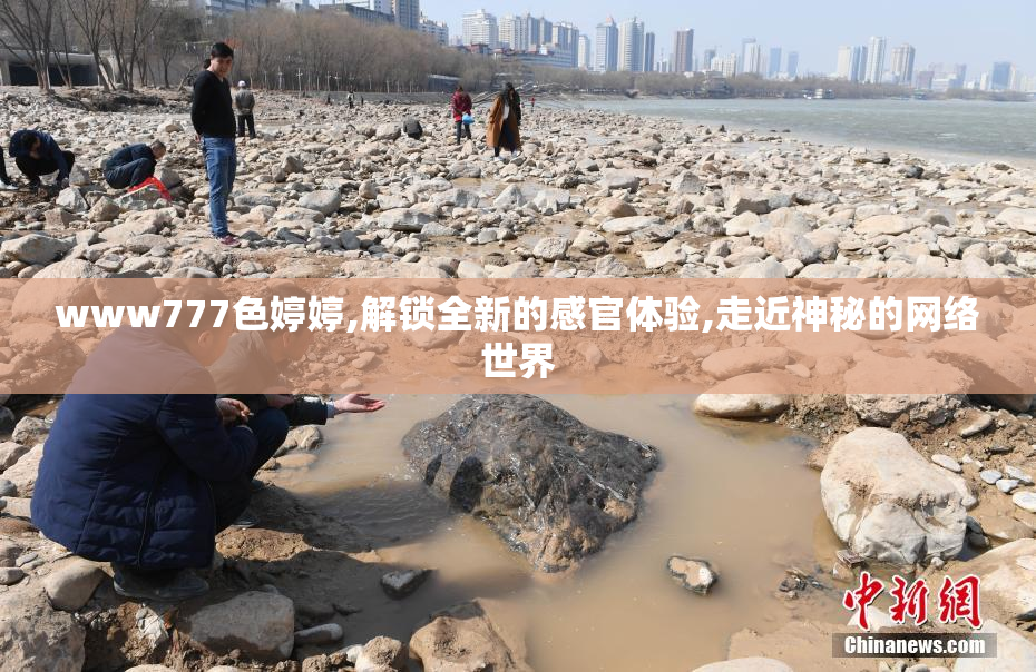 www777色婷婷,解锁全新的感官体验,走近神秘的网络世界