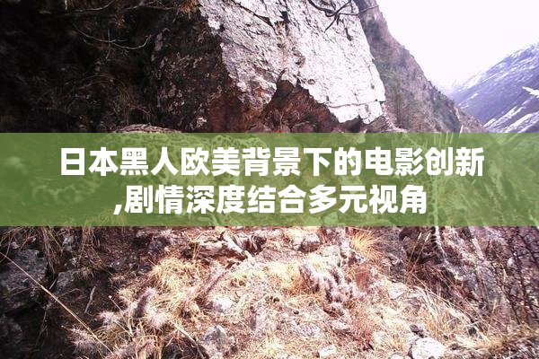日本黑人欧美背景下的电影创新,剧情深度结合多元视角