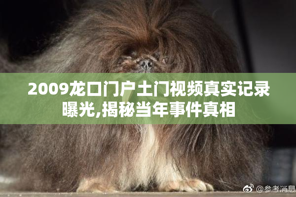 2009龙口门户土门视频真实记录曝光,揭秘当年事件真相